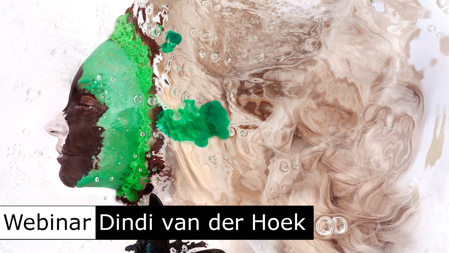 webinar Dindi van der Hoek
