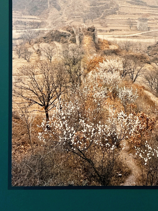 expo xiaoxiao xu expo xiaoxiao xu